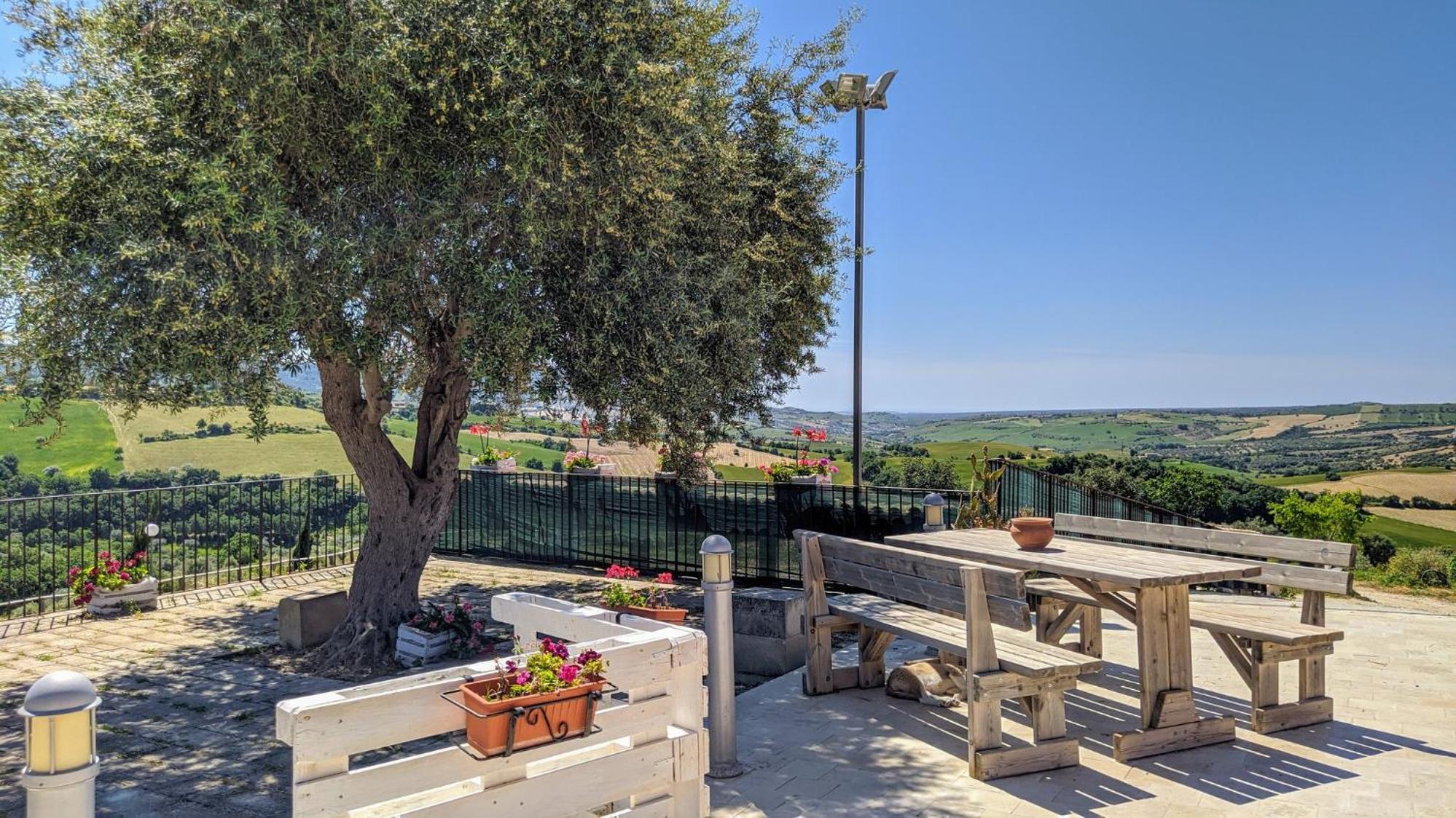 Agriturismo Giannavi 帕拉佐洛阿克雷伊德 外观 照片